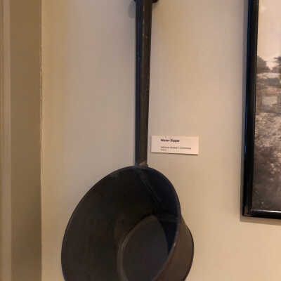 Water Dipper