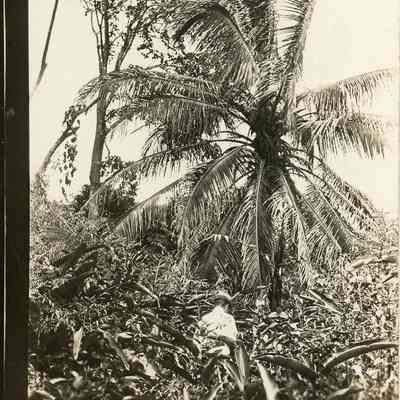 Fort San Lorenzo Ruins