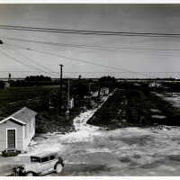 Florida East Coast Railway Station at Trumbo Point