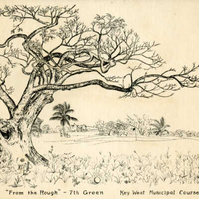 'From the Rough' - 7th Green, Key West Municipal Course