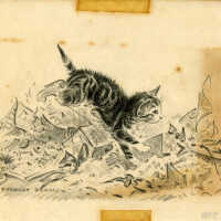 Sketch from The Cat Who Went to College