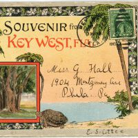 Souvenir from Key West, FLA.