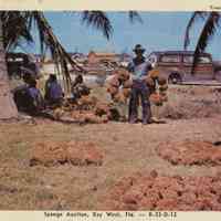 Sponge Auction, Key West, Florida