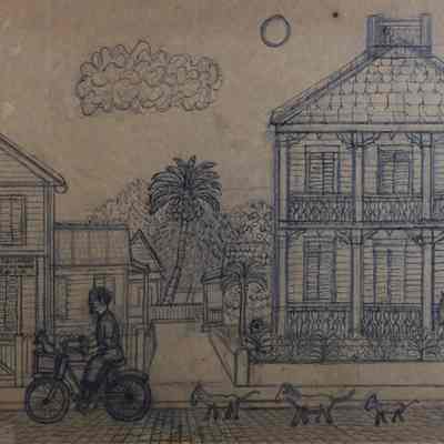 Old Island Days - The Ambulant Veterinarian