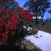 Baywood Key Largo