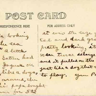 Portebela Looking Toward the Sea: © Key West Art & Historical Society