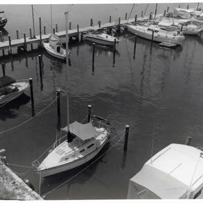 Sailboats Docked at Marina
