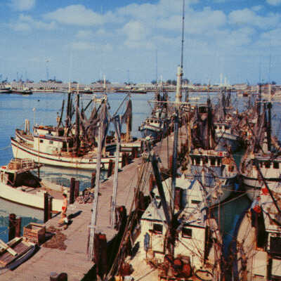Shrimp Boats at Dock