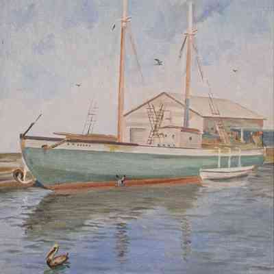 A.M. Adams at Turtle Kraals