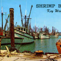 Shrimp Boats Key West