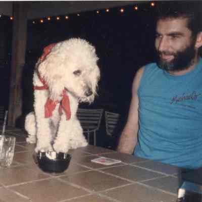 Dog on a Bar in Key West