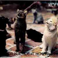 Choir Practice at Hemingway House