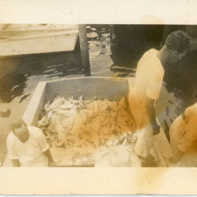 Men on Boat with Fish