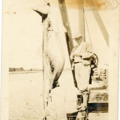 Man Standing by Hanging Shark