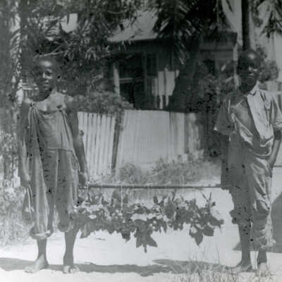 Selling Spanish Limes