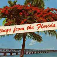 Greetings from the Florida Keys