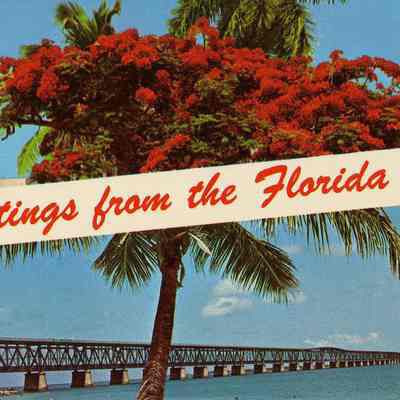 Greetings from the Florida Keys