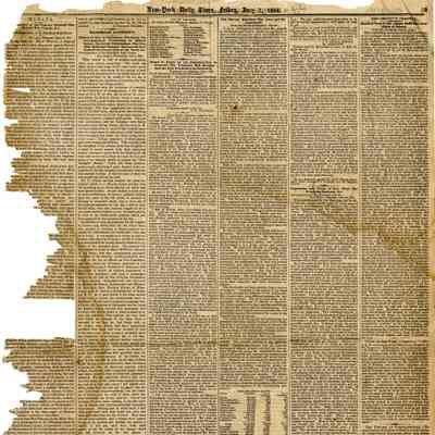 New York Daily Times