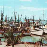 The Shrimp Fleet at Key West, Florida