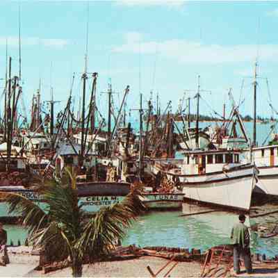 The Shrimp Fleet at Key West, Florida