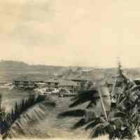 Gatun Banana Trees and Housing