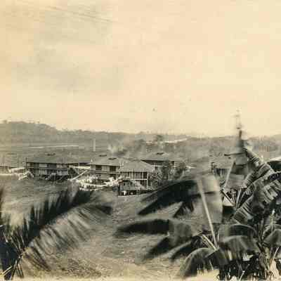 Gatun Banana Trees and Housing