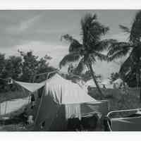 Filming of 