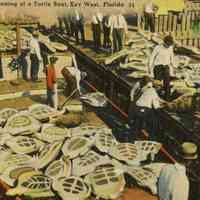          Arrival and Unloading of a Turtle Boat, Key West, Florida; © Key West Art & Historical Society
   