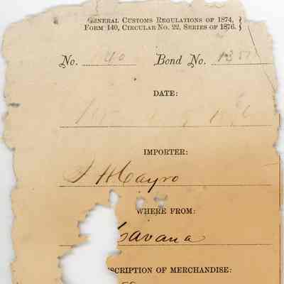 Customs Import Receipt