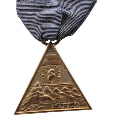 Nicaraguan Medal of Merit