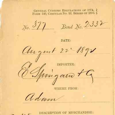 Customs Import Receipt