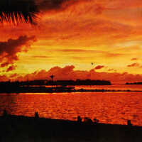 Sunset on North Roosevelt Boulevard