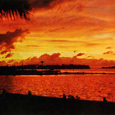 Sunset on North Roosevelt Boulevard