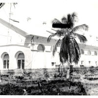Building No. 1