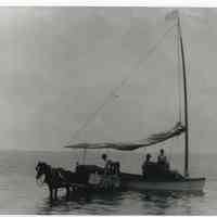 Horse Drawn Carriage and Coastal Trader