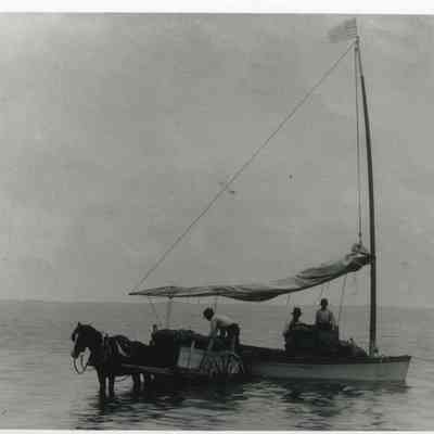 Horse Drawn Carriage and Coastal Trader