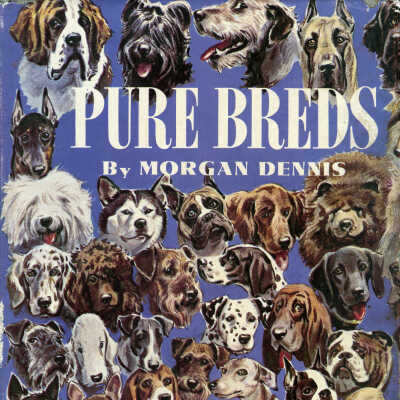 Pure Breds