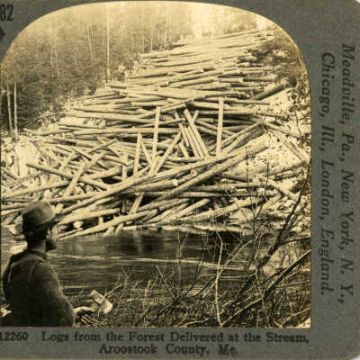 Logs from the Forest Delivered at the Stream, Aroostook County, Me.