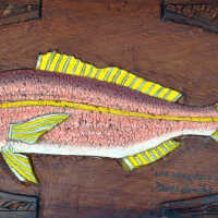 Las Marquesas Yellowtail