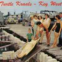 Turtle Kraals - Key West