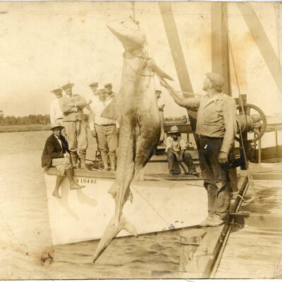 Group of Men with a Shark