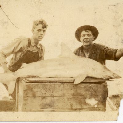 Two Men with a Shark