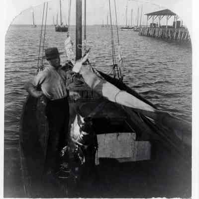 A Good Catch, Key West, Fla.