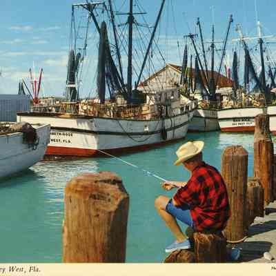 Shrimp Boats, Key West, Fla.
