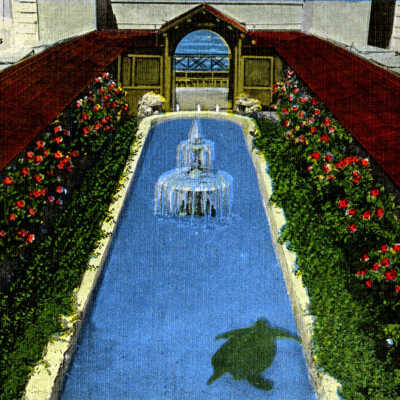 Open Aquarium Key West, Fla.