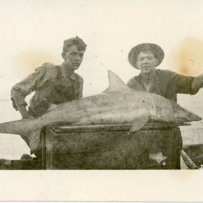 Two Men with a Shark