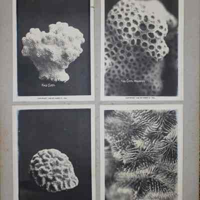 Views on the Key West Extension: © Key West Art & Historical Society