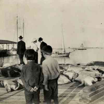 Building the Oversea Railway