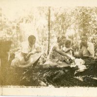 Group of People Under Trees