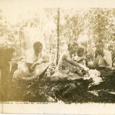 Group of People Under Trees